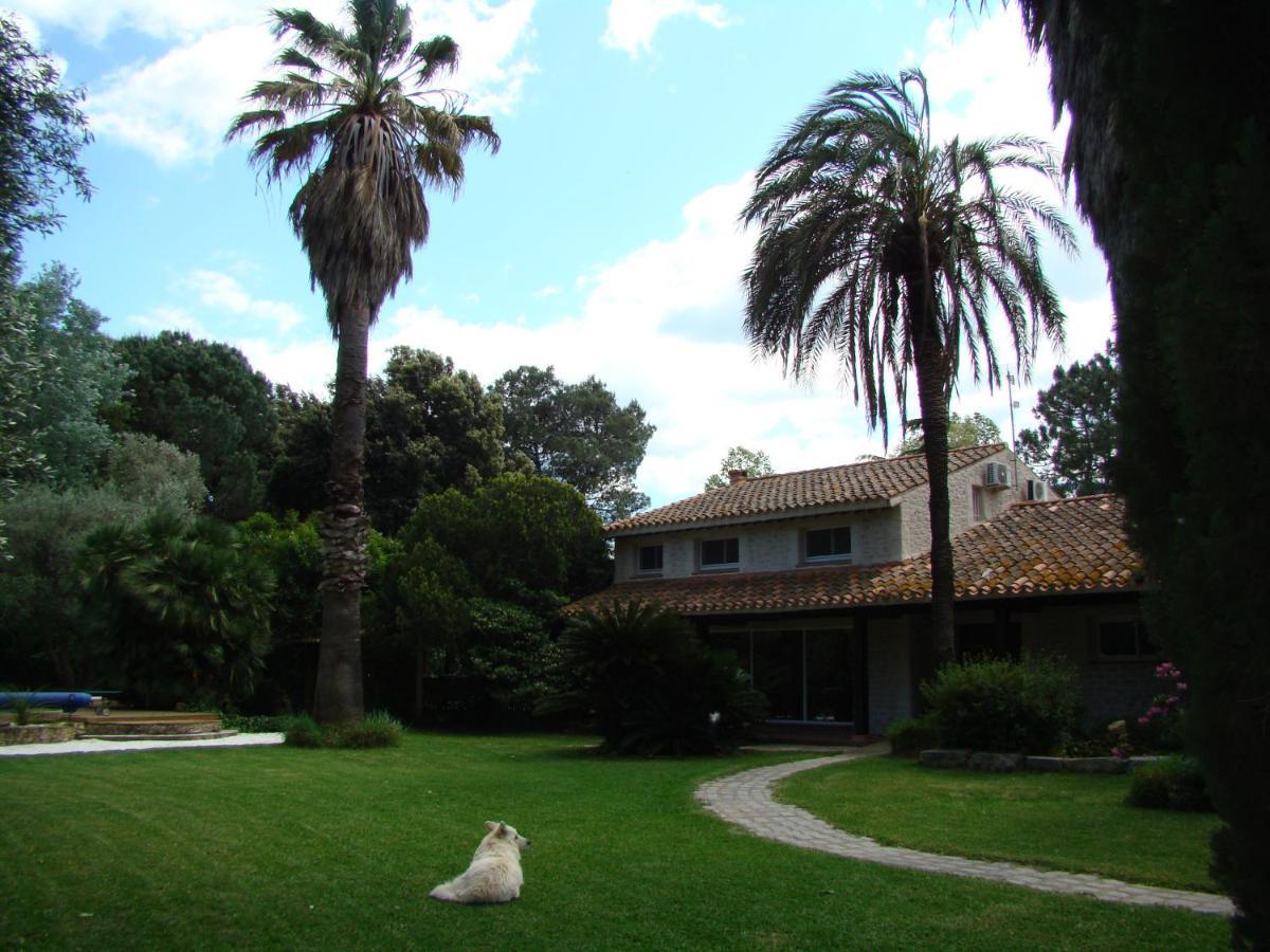 La Villa Saint Andre - Argeles Sur Mer Exteriér fotografie